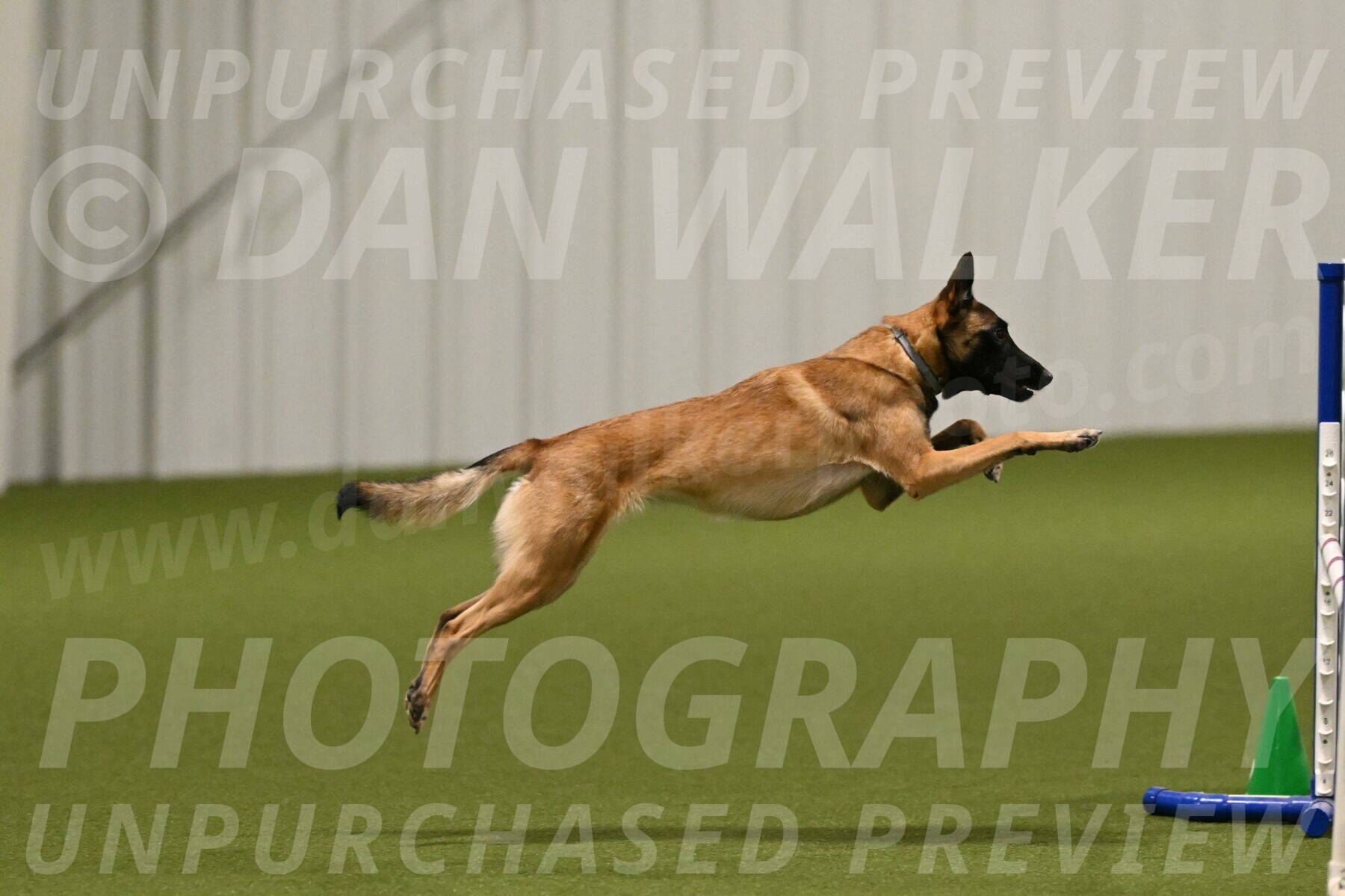 Ellie-Sharon-Muller-07075