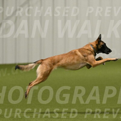 Ellie-Sharon-Muller-07075