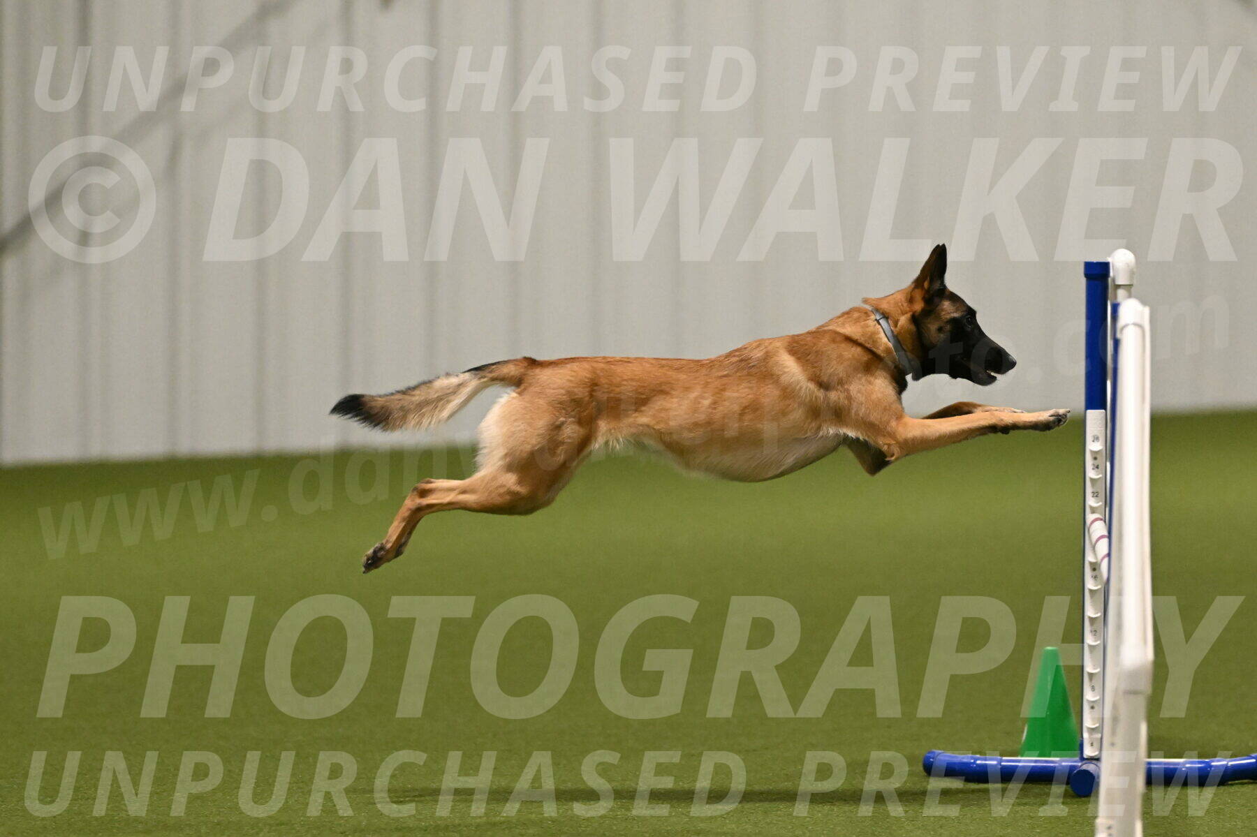 Ellie-Sharon-Muller-07076