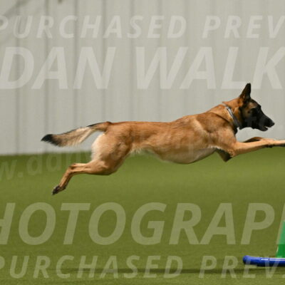 Ellie-Sharon-Muller-07076