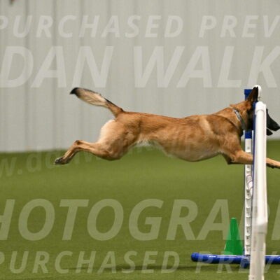 Ellie-Sharon-Muller-07077