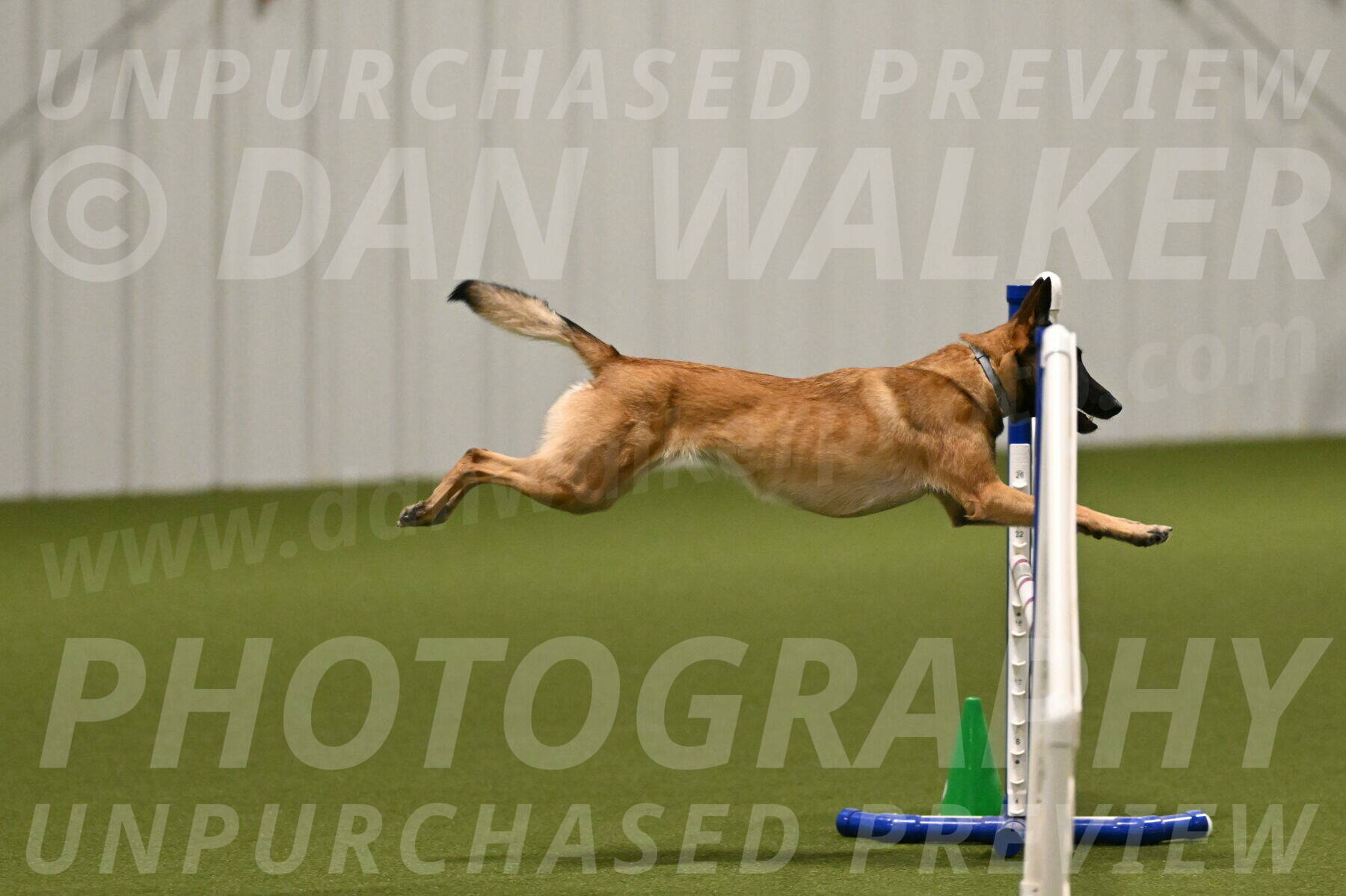 Ellie-Sharon-Muller-07077