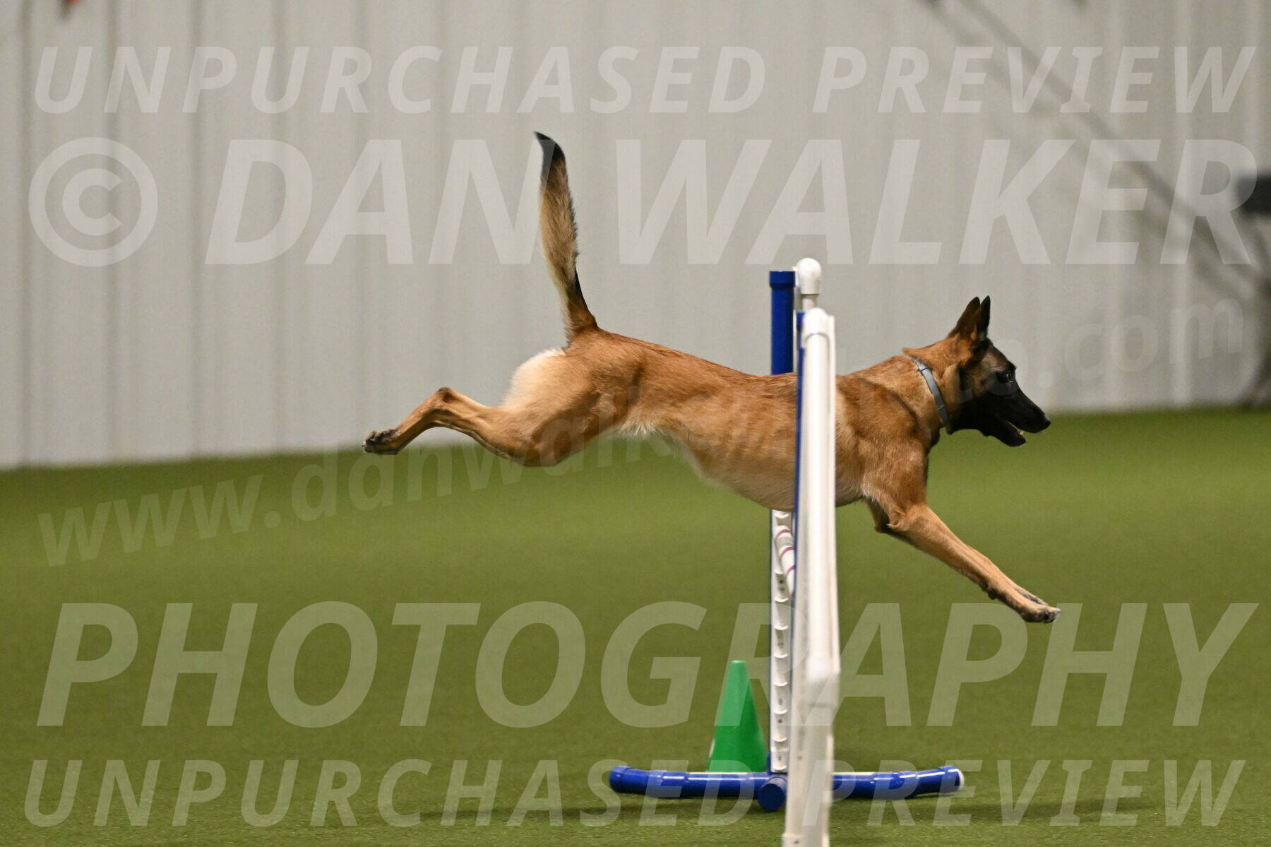 Ellie-Sharon-Muller-07078