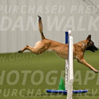 Ellie-Sharon-Muller-07078