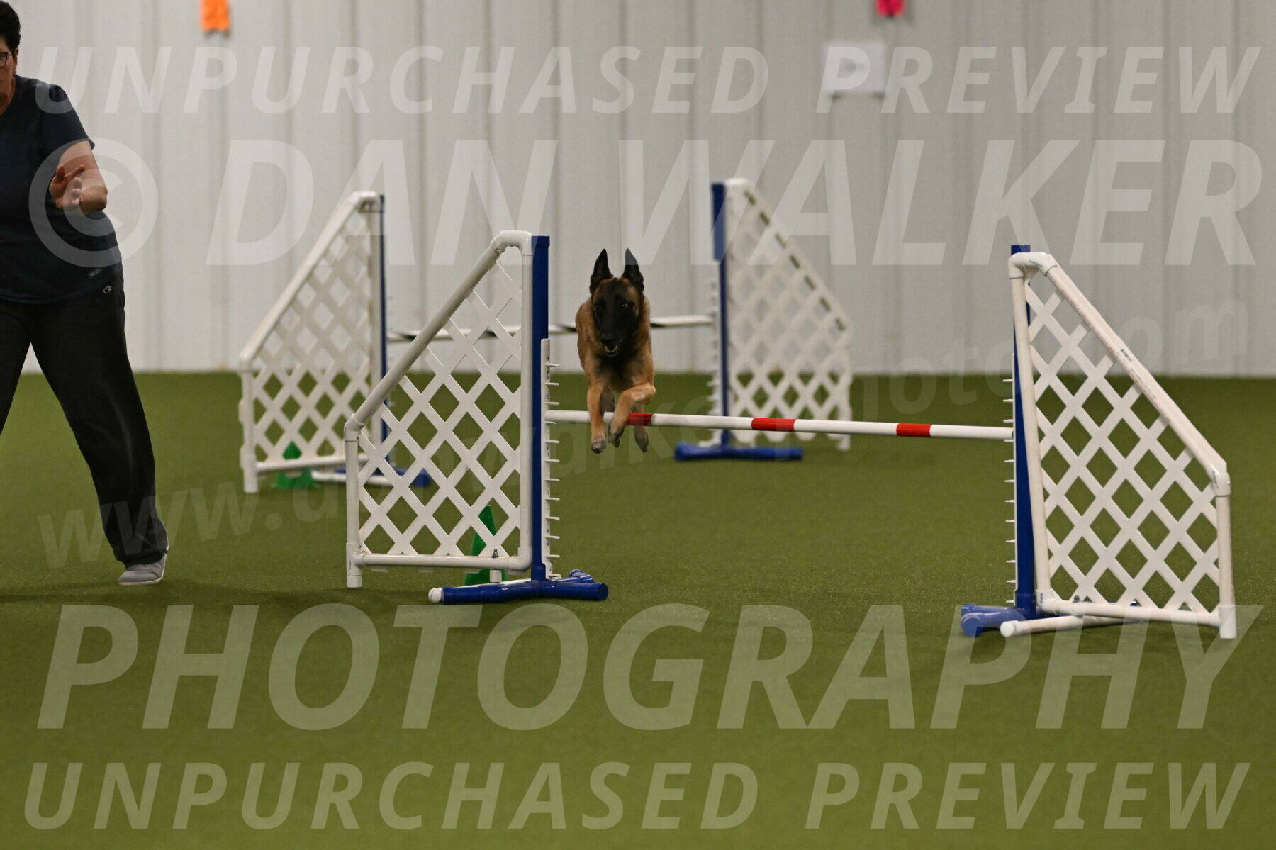 Ellie-Sharon-Muller-07079