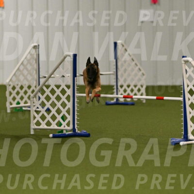 Ellie-Sharon-Muller-07079