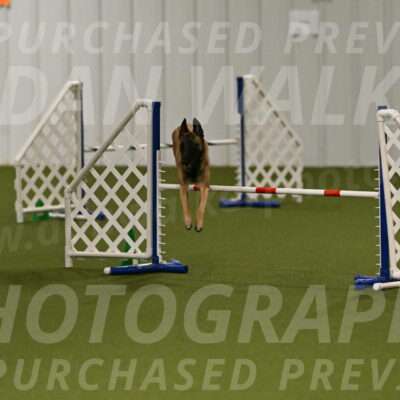 Ellie-Sharon-Muller-07080