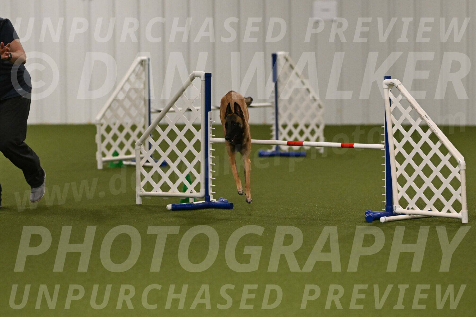 Ellie-Sharon-Muller-07081