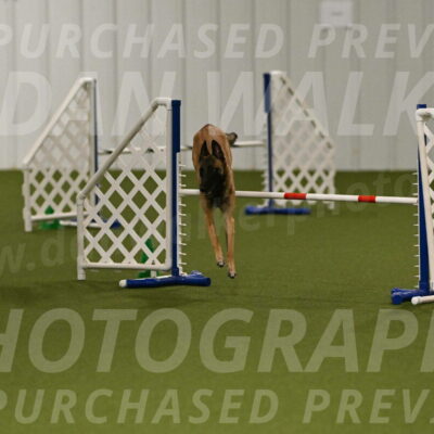 Ellie-Sharon-Muller-07081