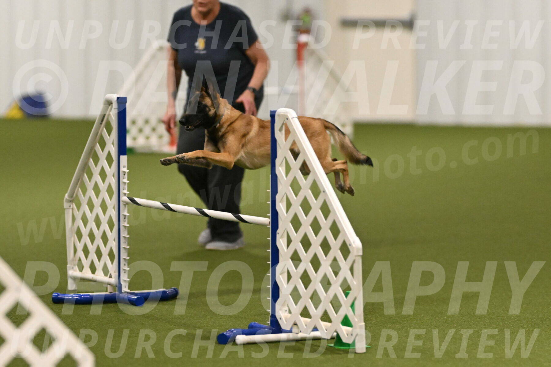 Ellie-Sharon-Muller-07082