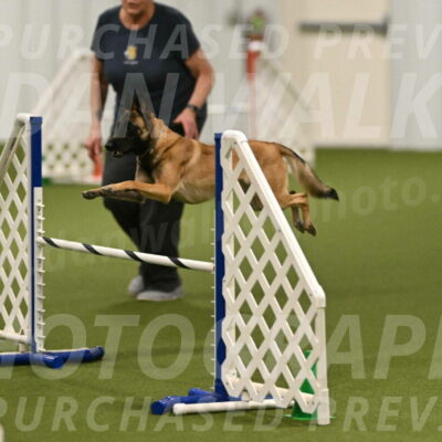 Ellie-Sharon-Muller-07082