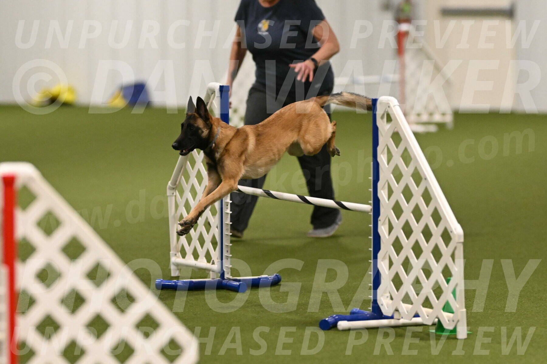 Ellie-Sharon-Muller-07083