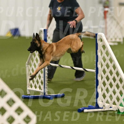 Ellie-Sharon-Muller-07083