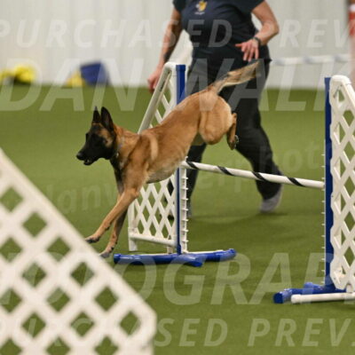 Ellie-Sharon-Muller-07084