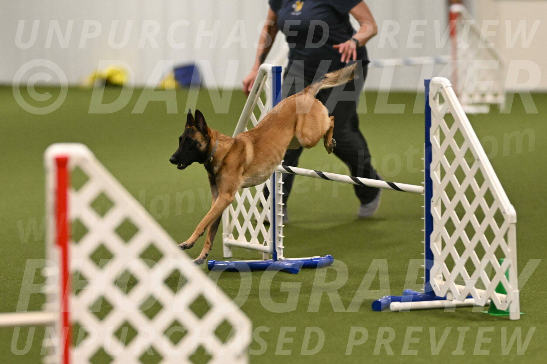 Ellie-Sharon-Muller-07084