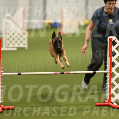 Ellie-Sharon-Muller-07085