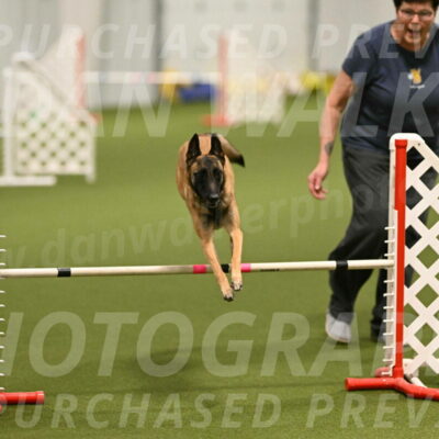 Ellie-Sharon-Muller-07086