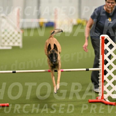 Ellie-Sharon-Muller-07087