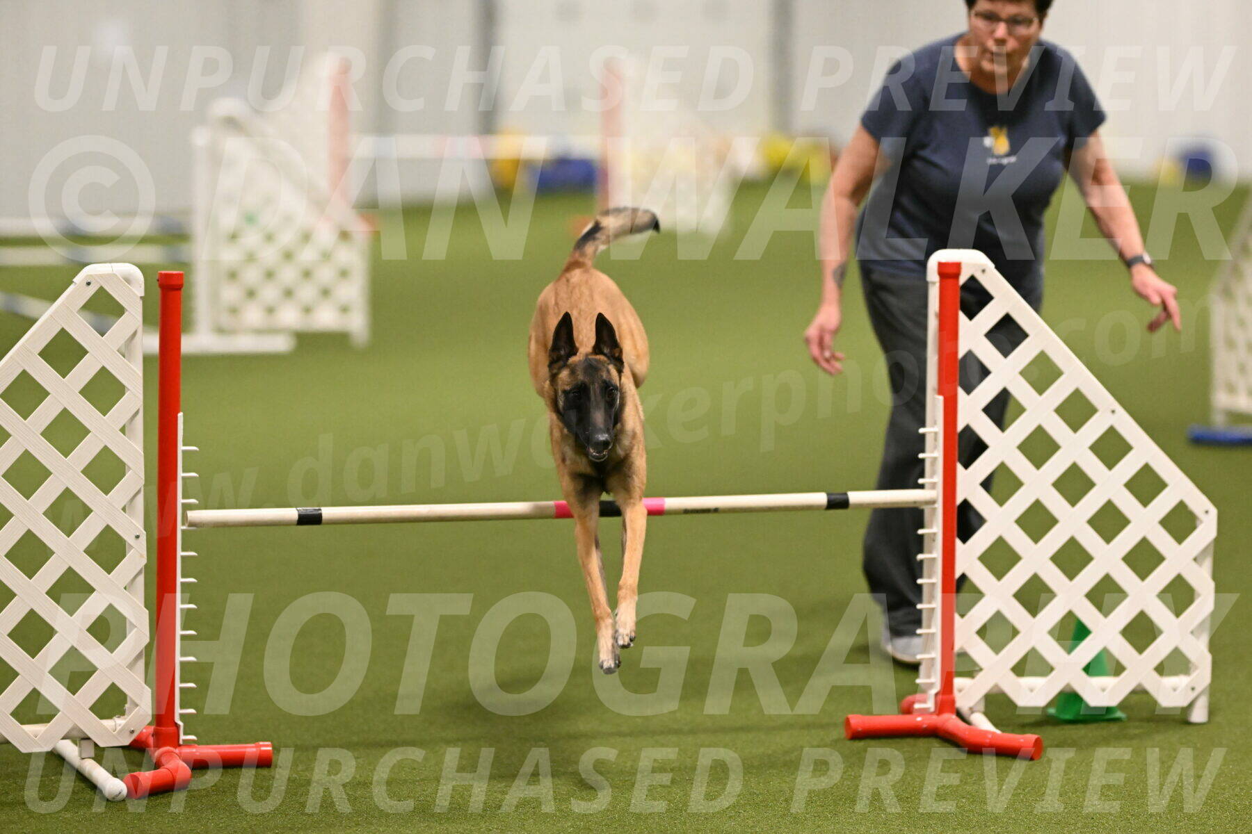 Ellie-Sharon-Muller-07087