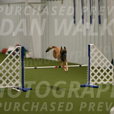 Ellie-Sharon-Muller-07088