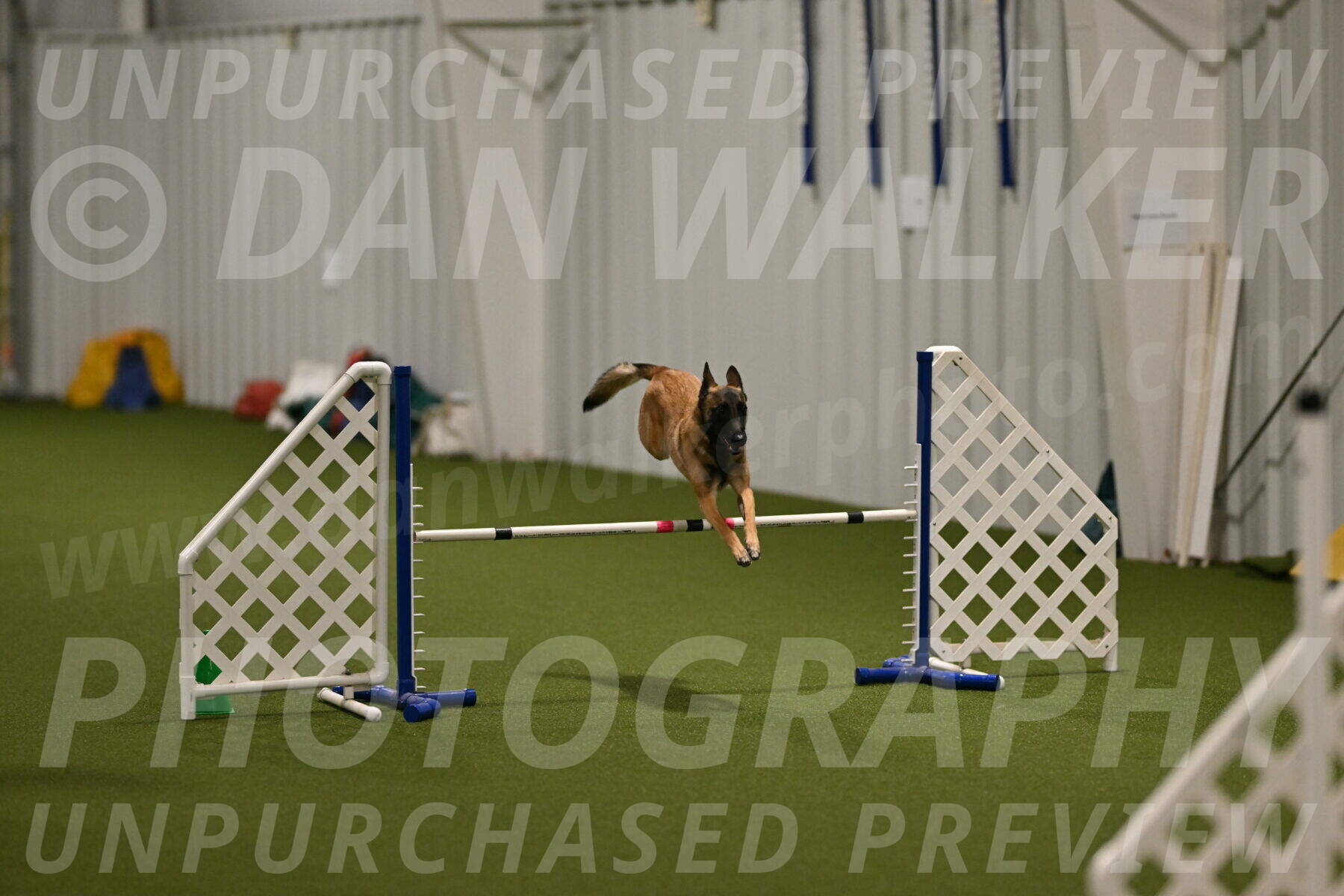 Ellie-Sharon-Muller-07088