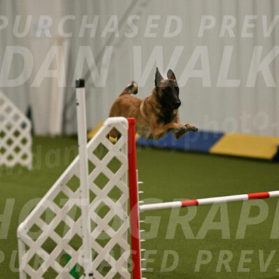 Ellie-Sharon-Muller-07089