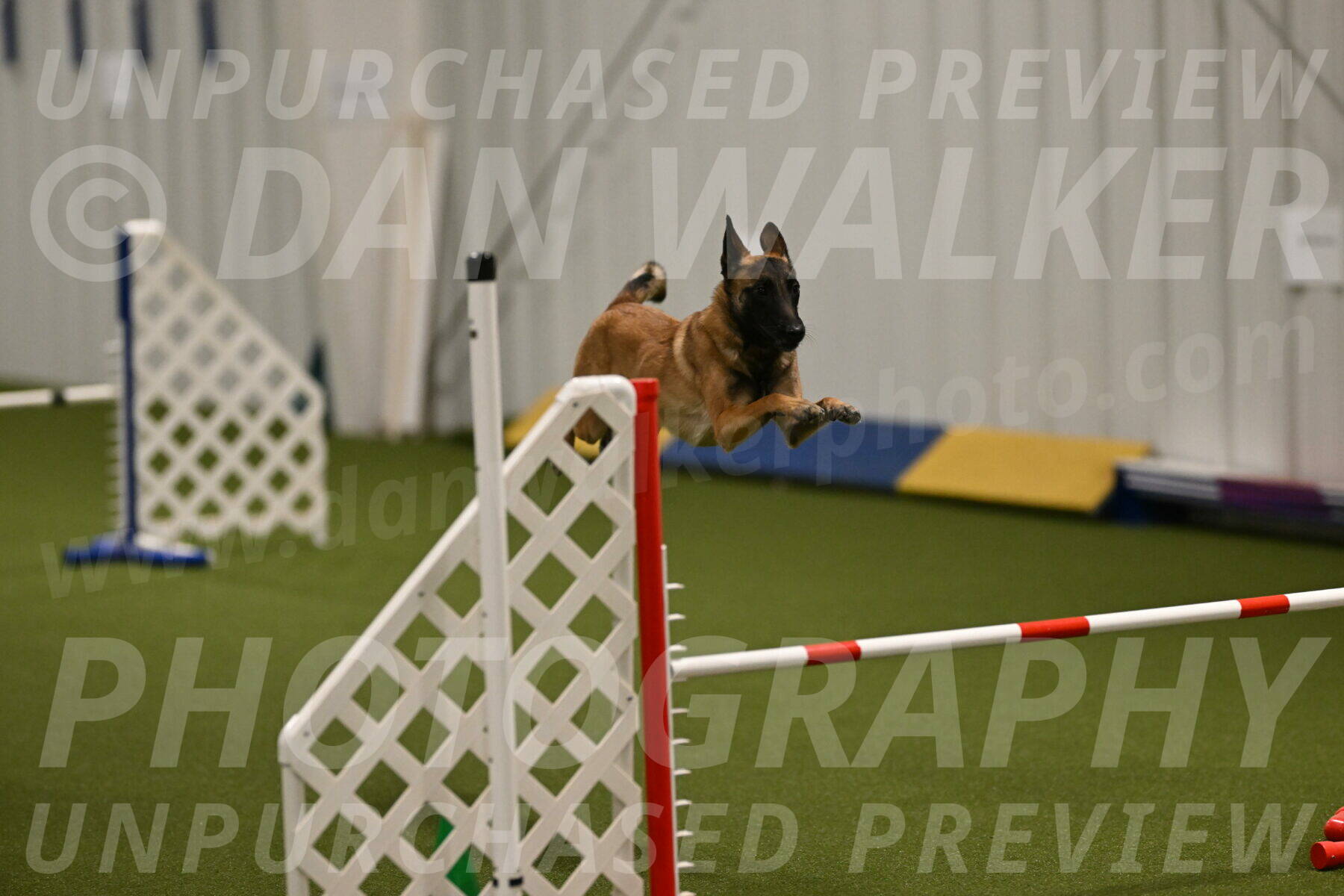 Ellie-Sharon-Muller-07089