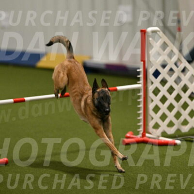 Ellie-Sharon-Muller-07090