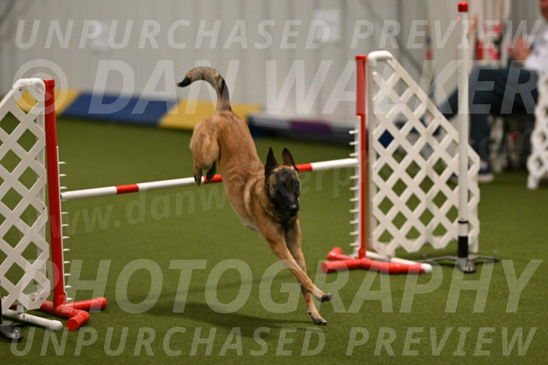 Ellie-Sharon-Muller-07090