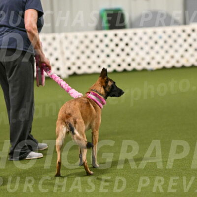 Ellie-Sharon-Muller-07091