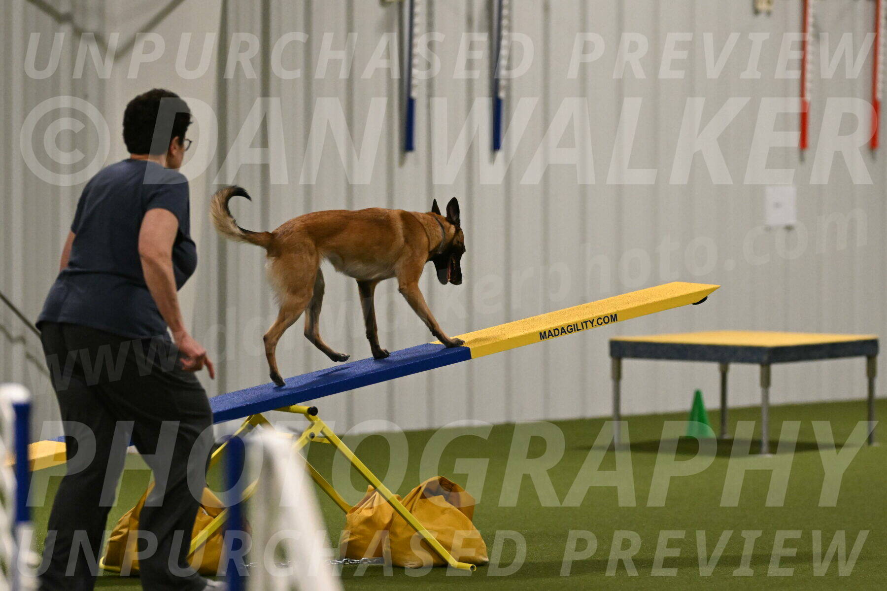 Ellie-Sharon-Muller-07092