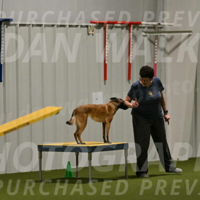 Ellie-Sharon-Muller-07093