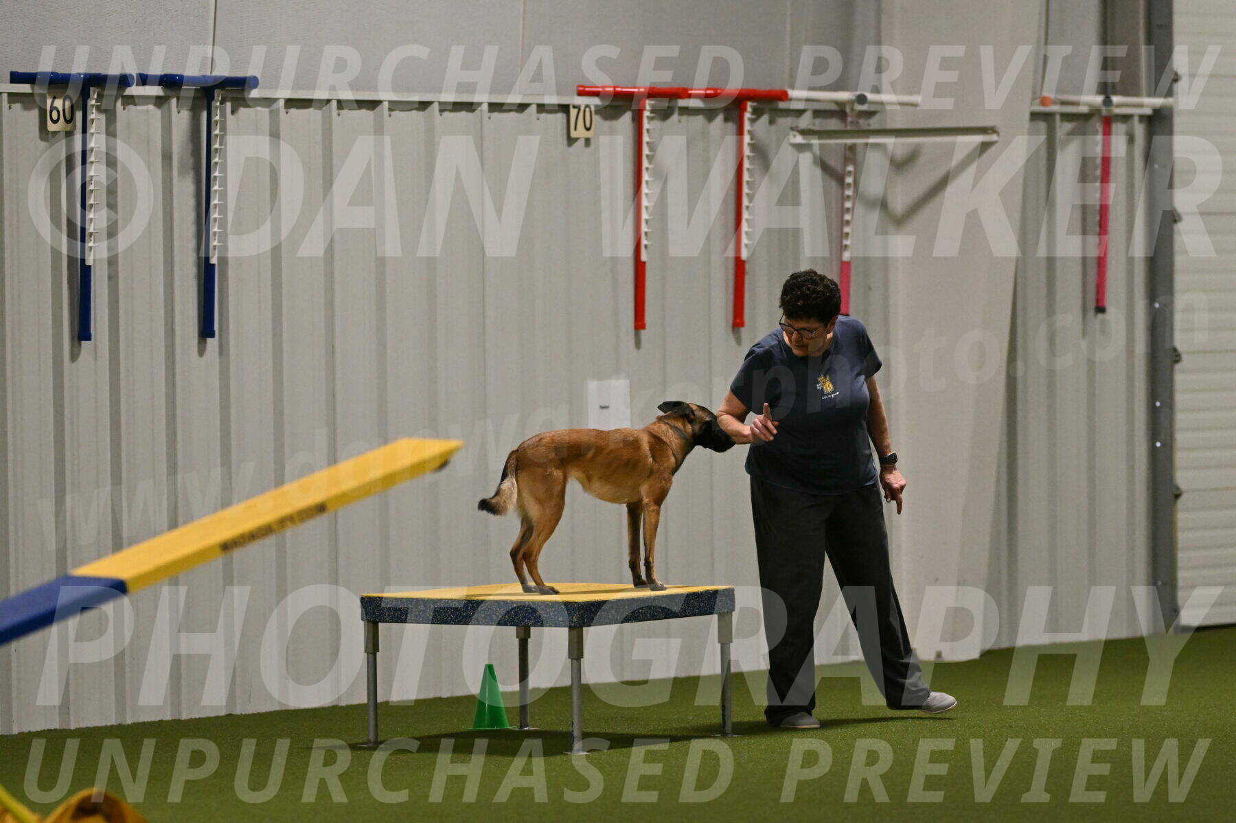 Ellie-Sharon-Muller-07093