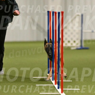 Ellie-Sharon-Muller-07094