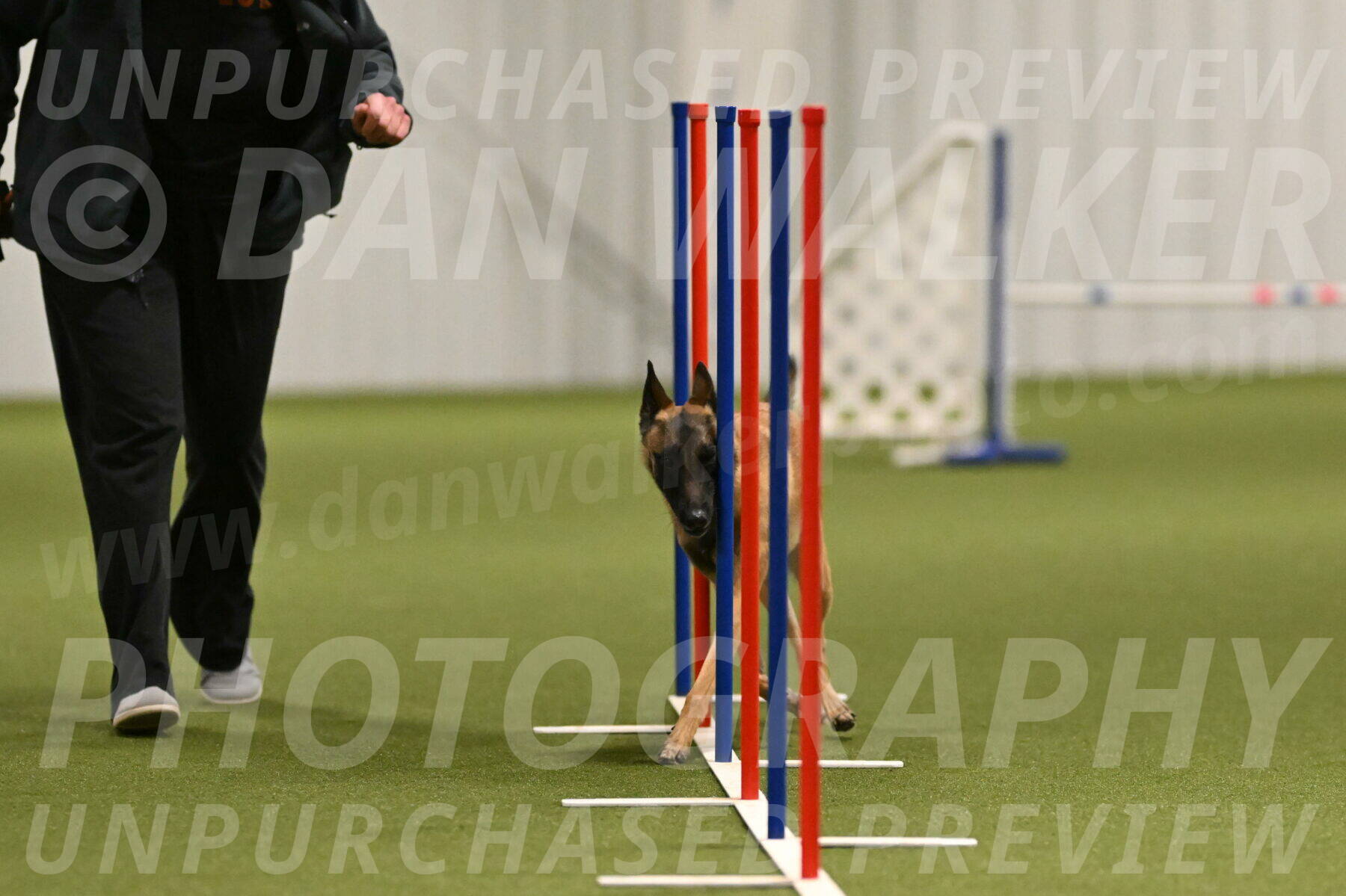 Ellie-Sharon-Muller-07094