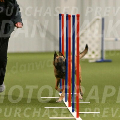 Ellie-Sharon-Muller-07095