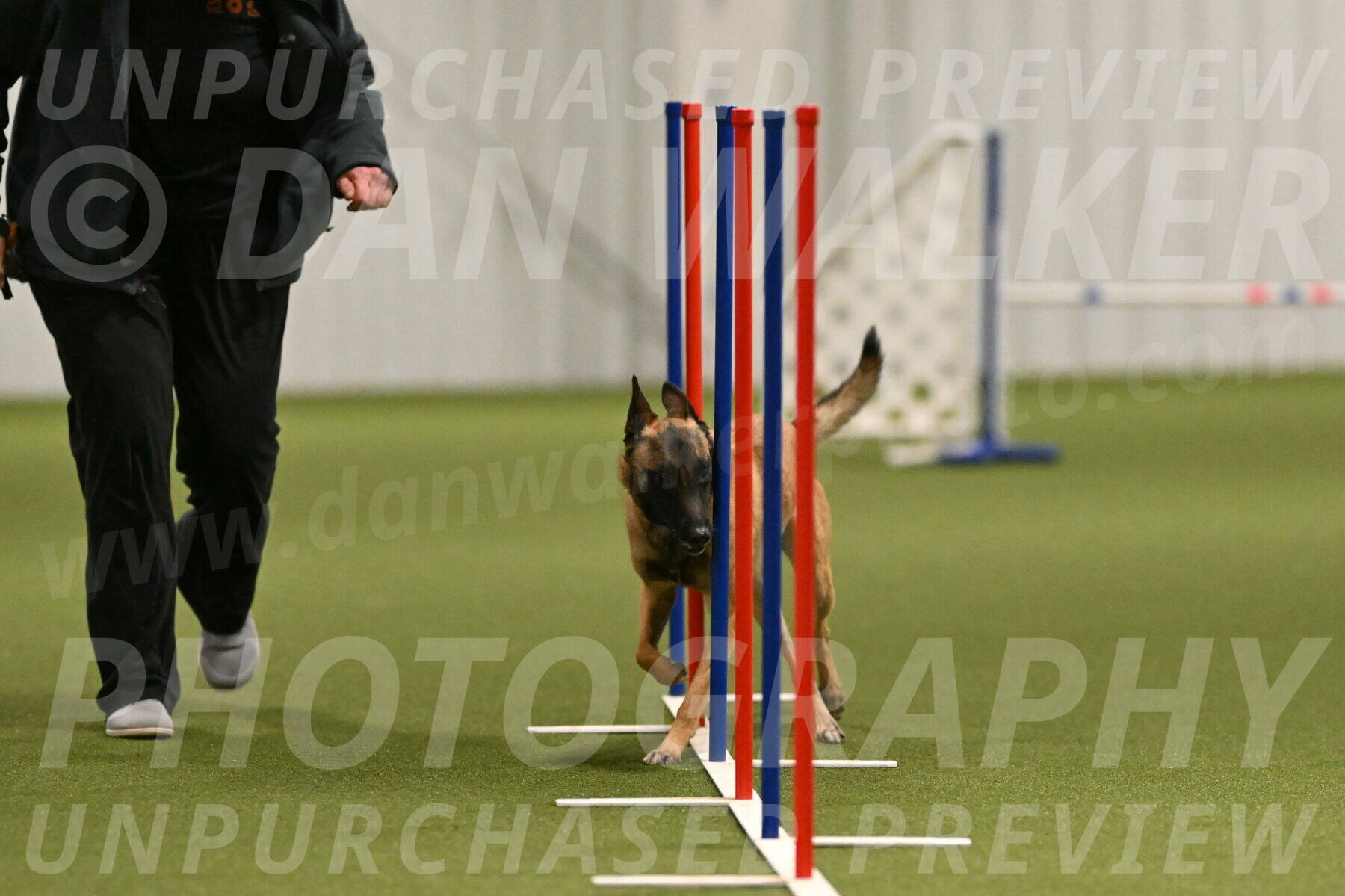 Ellie-Sharon-Muller-07095