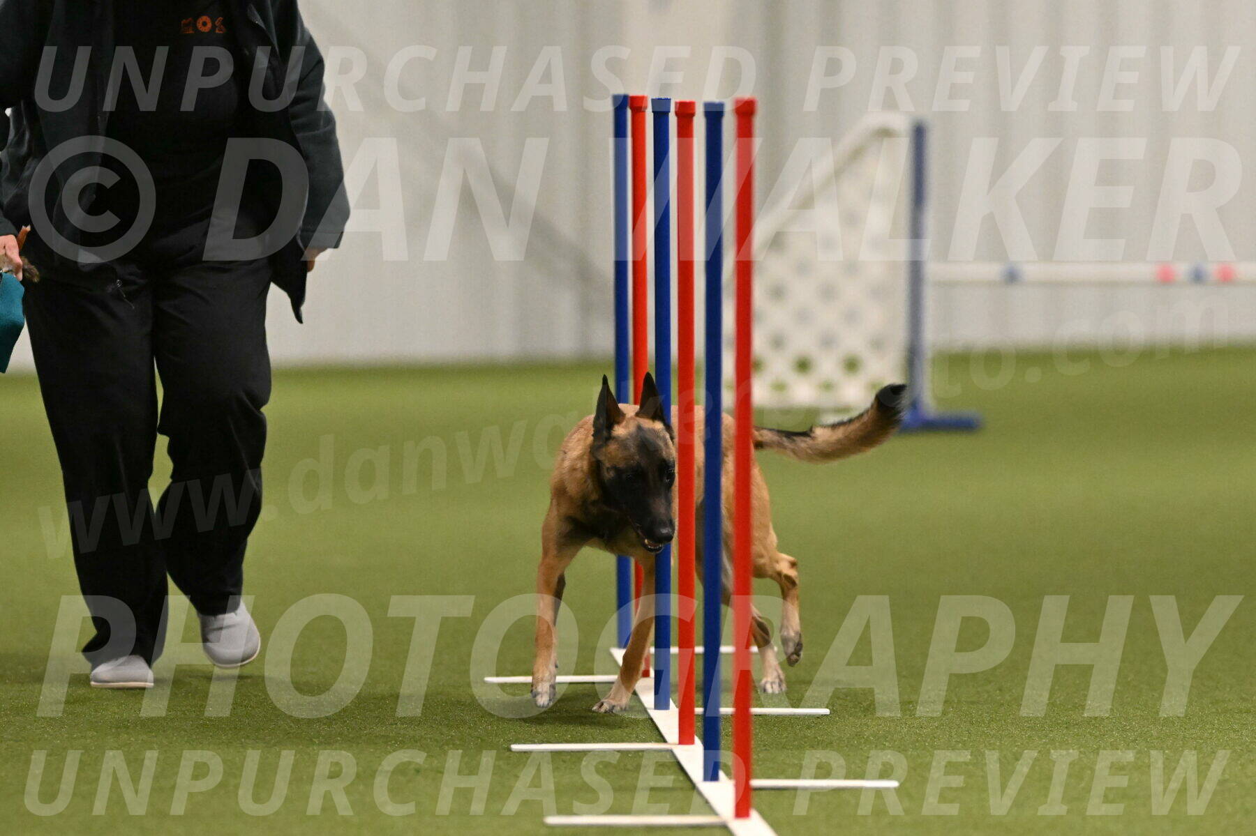 Ellie-Sharon-Muller-07096