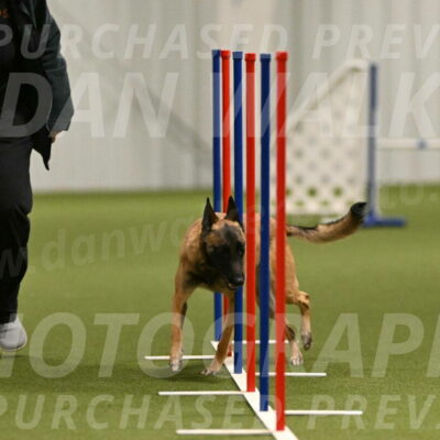 Ellie-Sharon-Muller-07096