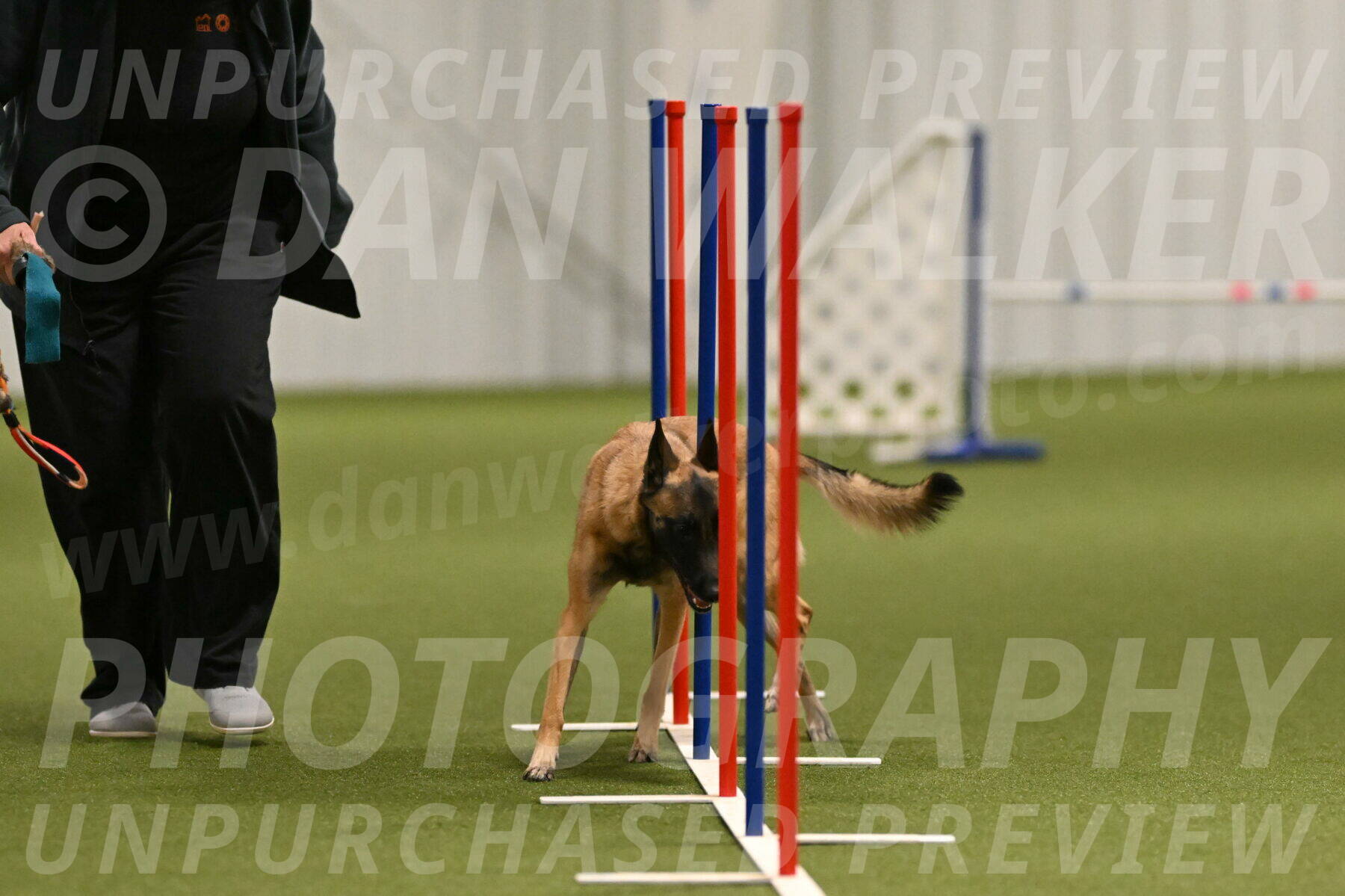 Ellie-Sharon-Muller-07097