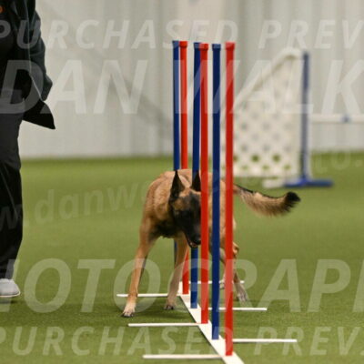 Ellie-Sharon-Muller-07097