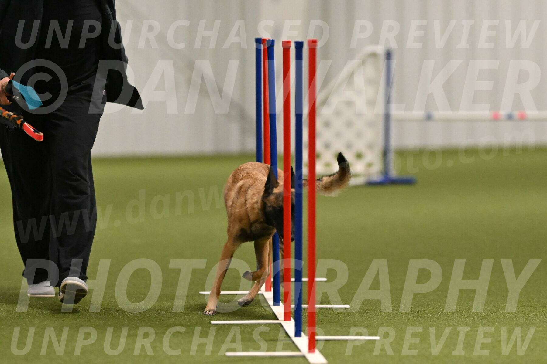 Ellie-Sharon-Muller-07098