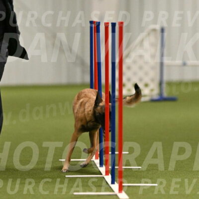 Ellie-Sharon-Muller-07098