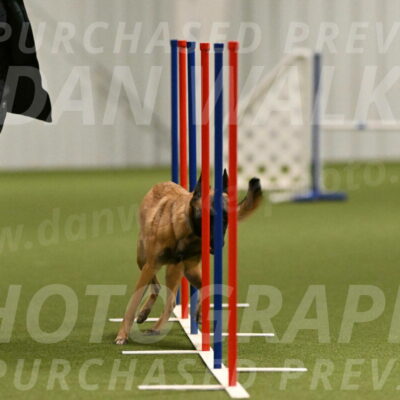 Ellie-Sharon-Muller-07099