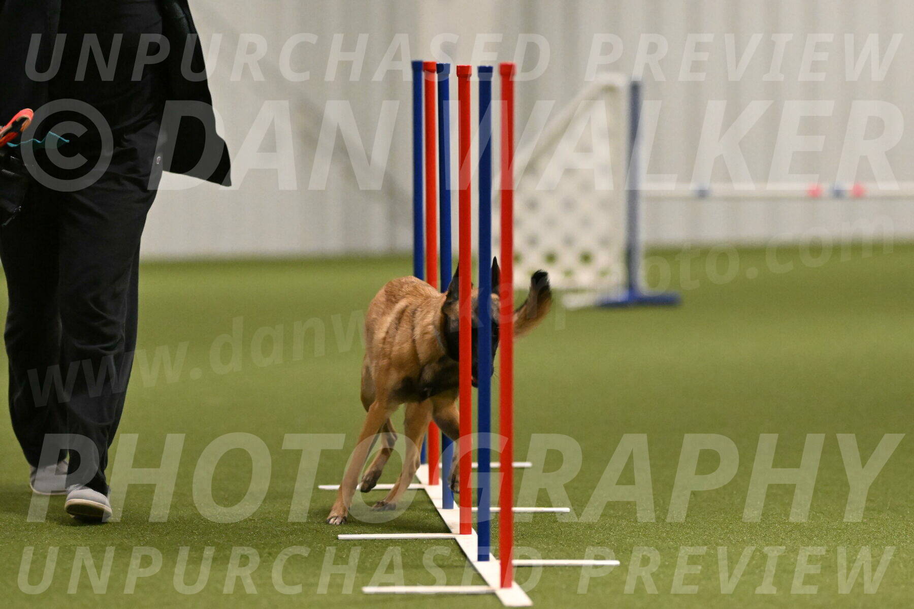 Ellie-Sharon-Muller-07099