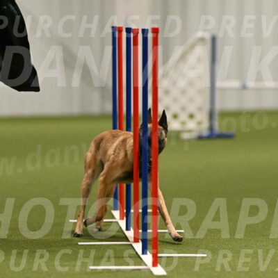 Ellie-Sharon-Muller-07100