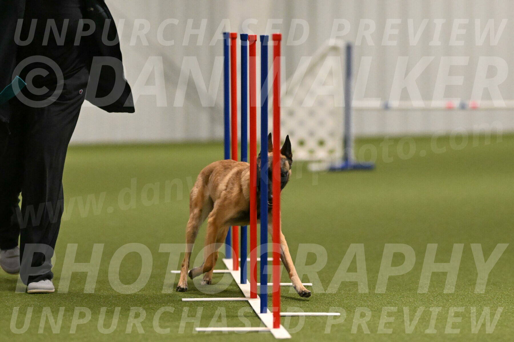 Ellie-Sharon-Muller-07100