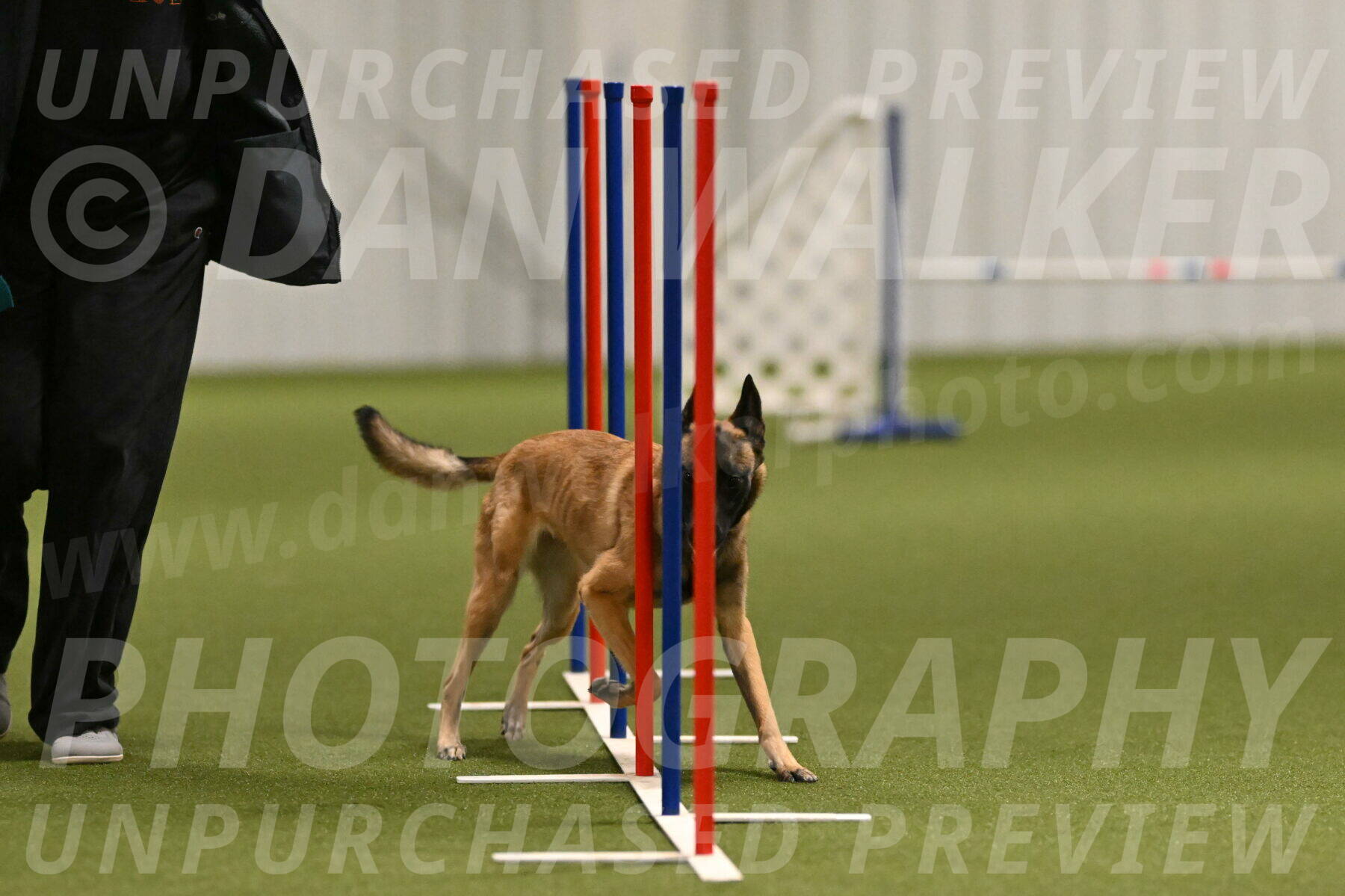 Ellie-Sharon-Muller-07101