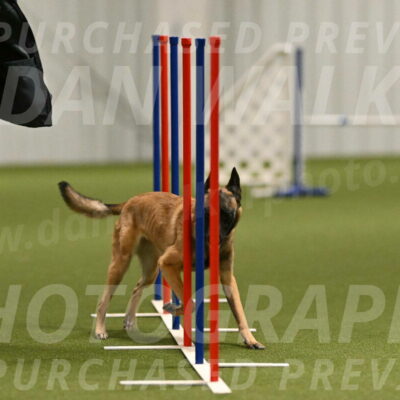 Ellie-Sharon-Muller-07101