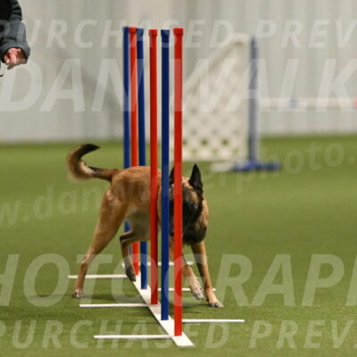 Ellie-Sharon-Muller-07102